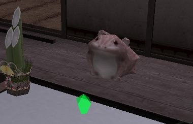 かえるの置物グラ.JPG