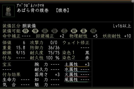 あばら骨の腹巻2.JPG