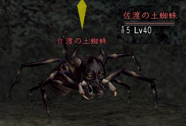 佐渡の土蜘蛛.JPG